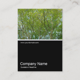 Tarjeta De Visita Media&Half Photo 0239 - Arce japonés