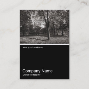 Tarjeta De Visita Media&Half Photo 0267 - Otoño en el parque