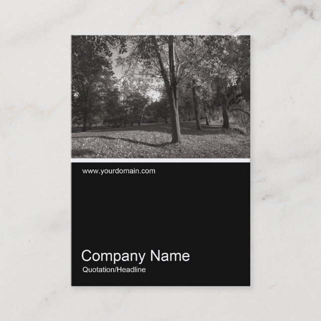 Tarjeta De Visita Media&Half Photo 0267 - Otoño en el parque (Anverso)