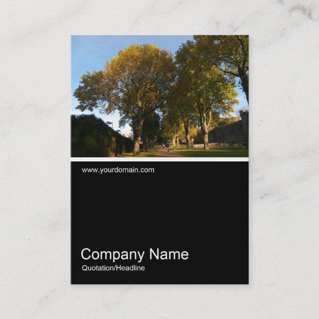 Tarjeta De Visita Media&Half Photo 0271 - Otoño en el parque (Anverso)