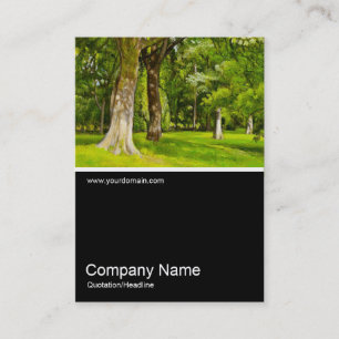 Tarjeta De Visita Media&Half Photo 080 - Árboles en el parque, petró