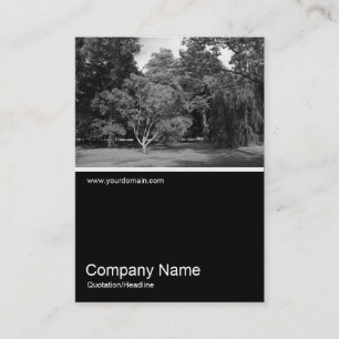 Tarjeta De Visita Media y media foto 0330 - Árboles en verano