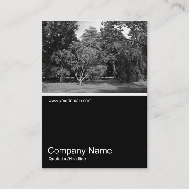 Tarjeta De Visita Media y media foto 0330 - Árboles en verano (Anverso)