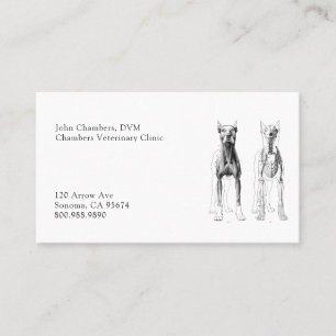 Tarjeta De Visita Medicina Veterinaria Profesional Simple