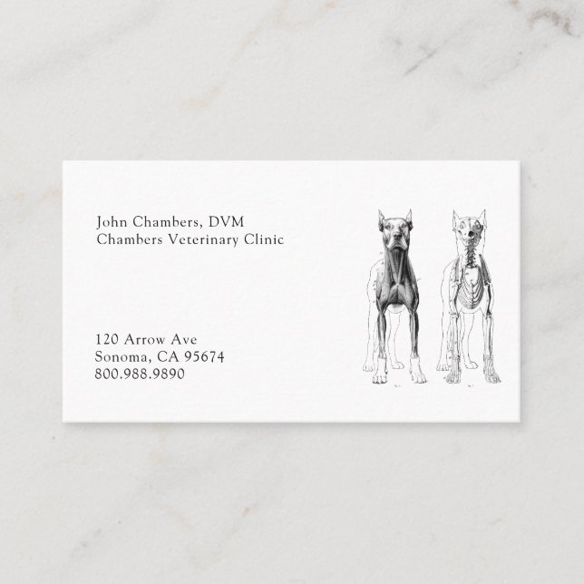 Tarjeta De Visita Medicina Veterinaria Profesional Simple (Anverso)