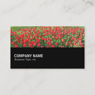Tarjeta De Visita Medio camino 0153 - Cama de tulipanes rojos 01