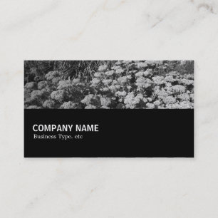 Tarjeta De Visita Medio camino 079 - Sedum "Alegría del otoño"