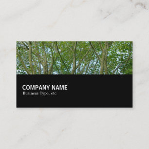 Tarjeta De Visita Medio camino 080 - Arce japonés