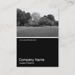 Tarjeta De Visita Medio y medio foto 0345- Paisaje de parque