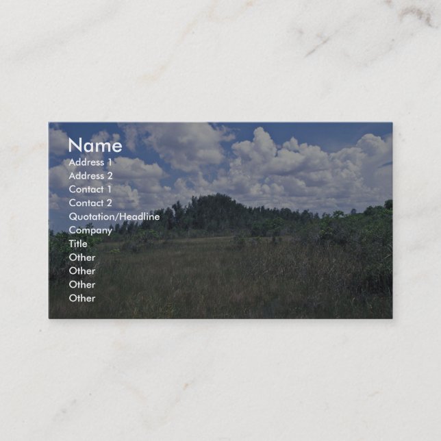 Tarjeta De Visita Melaleuca (Anverso)