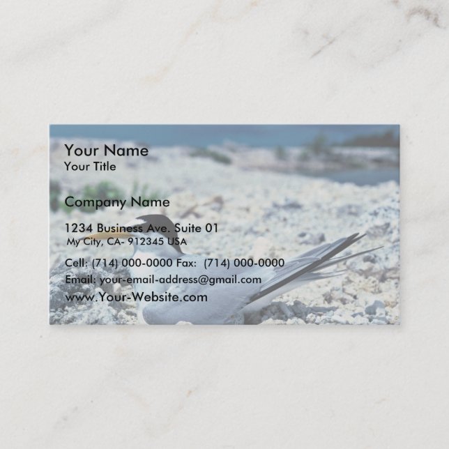 Tarjeta De Visita Menos golondrina de mar (Anverso)