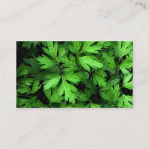 Tarjeta De Visita Mercado de hierbas frescas
