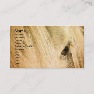 Tarjeta De Visita Messy Mane