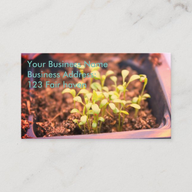 Tarjeta De Visita Microgreens (Anverso)