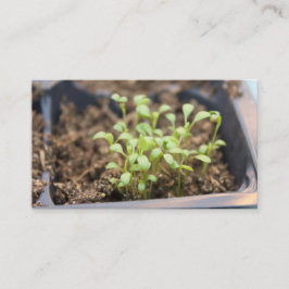 Tarjeta De Visita Microgreens