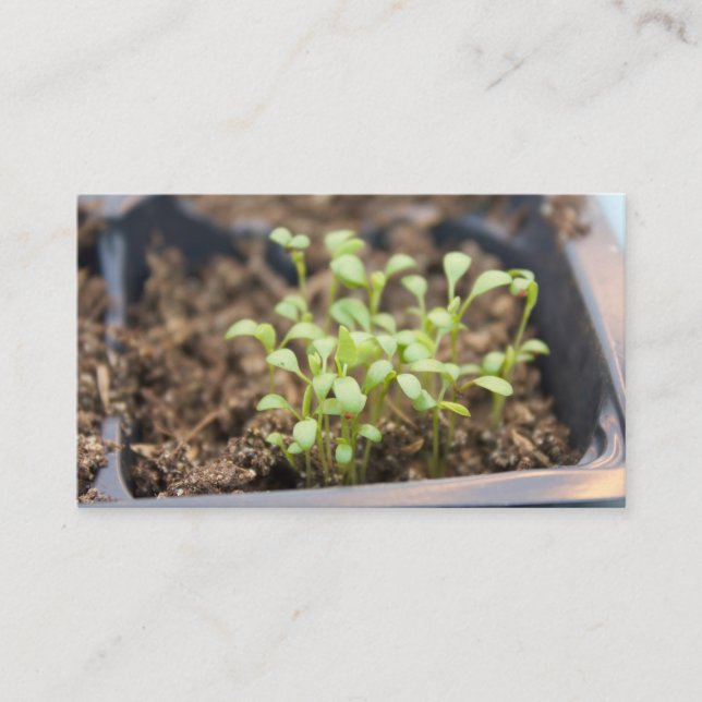 Tarjeta De Visita Microgreens (Anverso)