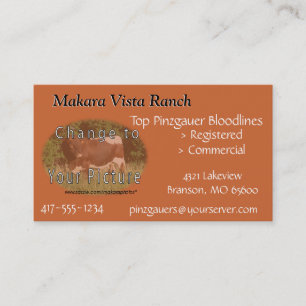 Tarjeta De Visita MikeCard 2 - modifique ambos lados para requisitos