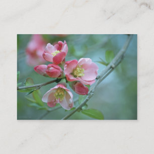 Tarjeta De Visita Mini impresión Apple Blossom #P0356