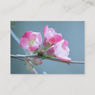 Tarjeta De Visita Mini impresión Apple Blossom #P0358