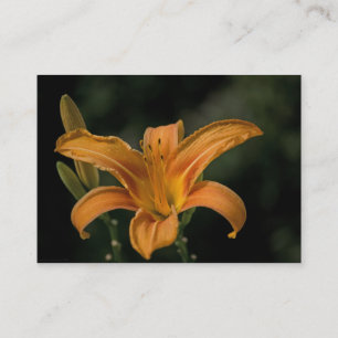 Tarjeta De Visita Mini impresión con iluminación de jardín