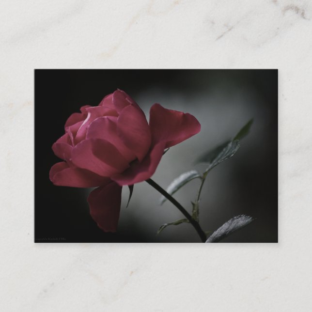 Tarjeta De Visita Mini impresión de belleza de amor (Anverso)