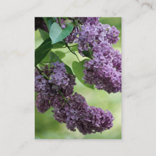 Tarjeta De Visita Mini impresión de primavera encantadora