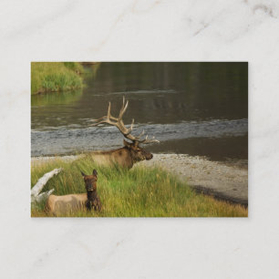 Tarjeta De Visita Mini impresión de yellowstone Mates