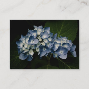 Tarjeta De Visita Mini impresión del Hydrangea 8514 azules