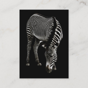 Tarjeta De Visita Mini impresión Zebra P4435