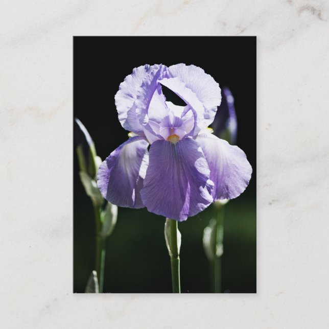 Tarjeta De Visita Mini Print Iris 8393 púrpura (Anverso)