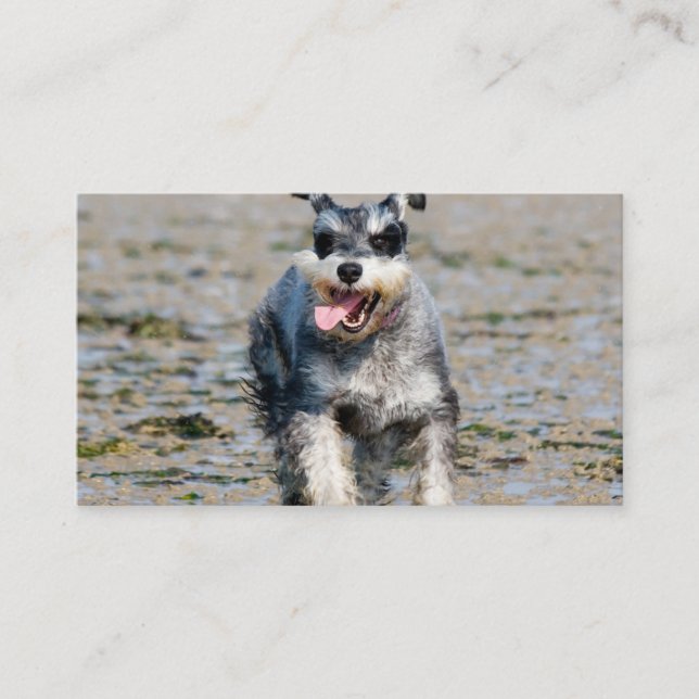 Tarjeta De Visita mini schnauzer-run (Anverso)