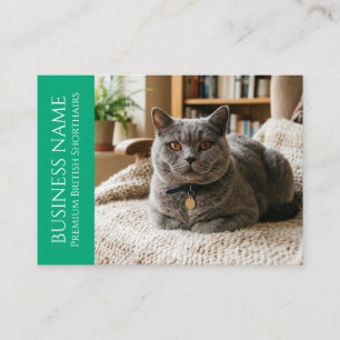Tarjeta De Visita Minimalista British Shorthair Personalizable