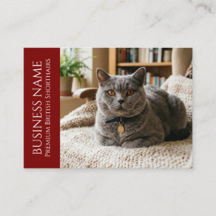 Tarjeta De Visita Minimalista British Shorthair Personalizable
