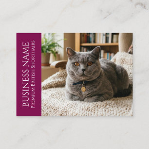 Tarjeta De Visita Minimalista British Shorthair Personalizable