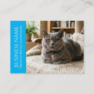 Tarjeta De Visita Minimalista British Shorthair Personalizable