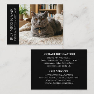 Tarjeta De Visita Minimalista British Shorthair Personalizado Negro