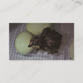 Tarjeta De Visita Minutos viejos