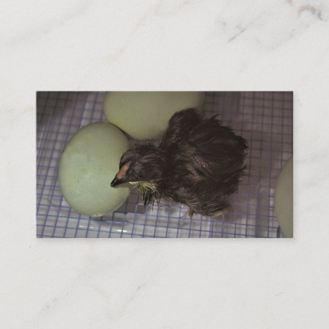 Tarjeta De Visita Minutos viejos (Anverso)