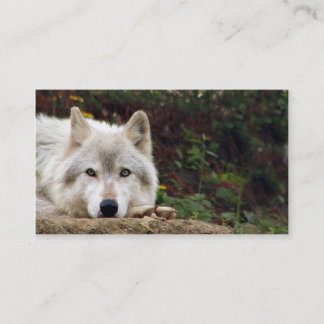 Tarjeta De Visita Mirada fija del lobo de madera
