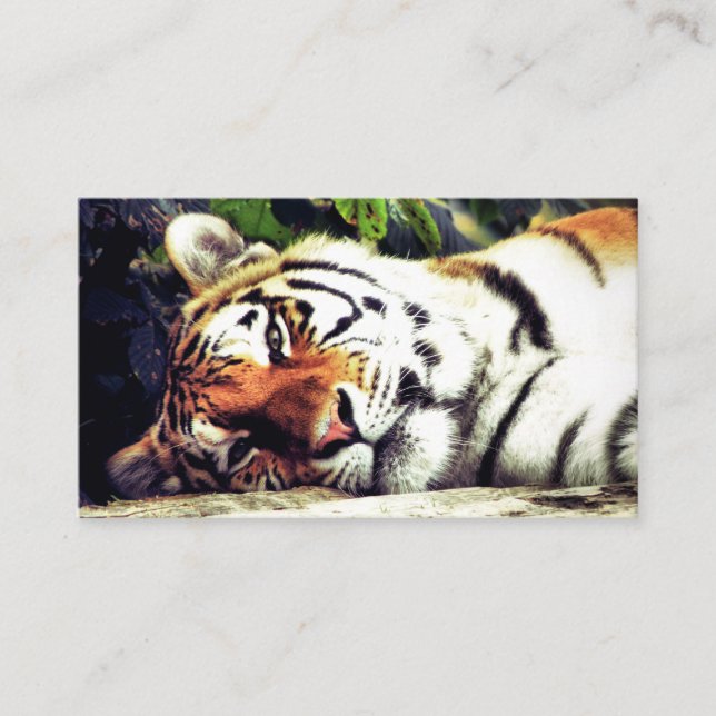 Tarjeta De Visita Mirando al tigre (Anverso)