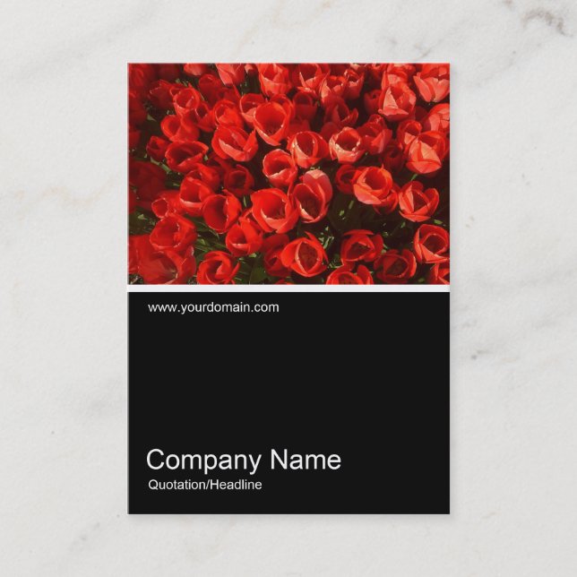 Tarjeta De Visita Mitad y media foto 01 (Anverso)