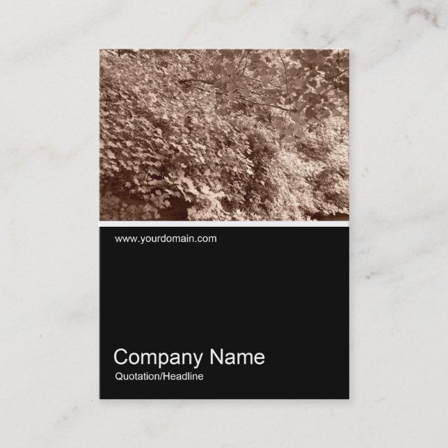 Tarjeta De Visita Mitad y media foto 018 - Saltos (Anverso)