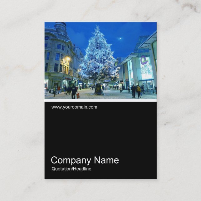 Tarjeta De Visita Mitad y media foto 0194 - Nieve en Cardiff (Anverso)