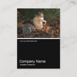 Tarjeta De Visita Mitad y media foto 0258 - ardilla gris