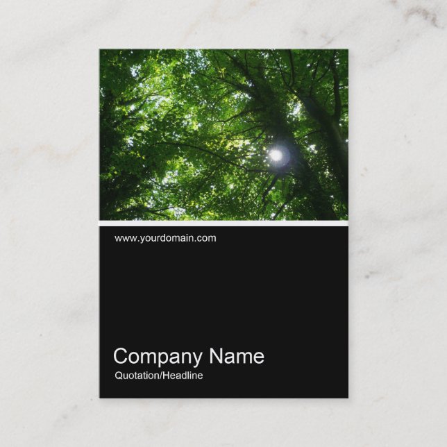 Tarjeta De Visita Mitad y media foto 027 - Sol en los árboles (Anverso)