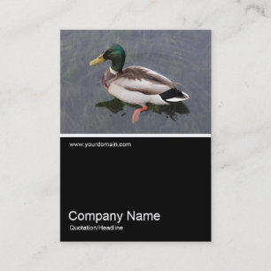 Tarjeta De Visita Mitad y media foto 0304 - Pato Mallard