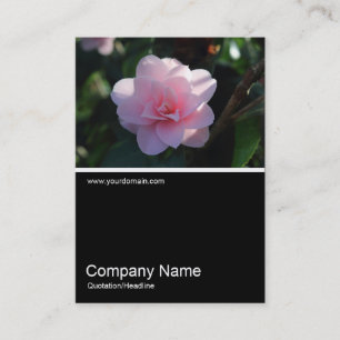 Tarjeta De Visita Mitad y media foto 0311 - Camellia rosa