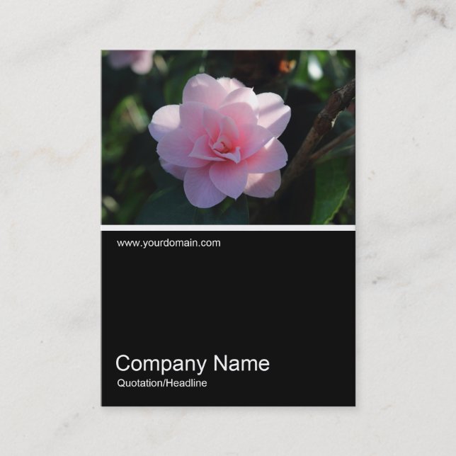 Tarjeta De Visita Mitad y media foto 0311 - Camellia rosa (Anverso)