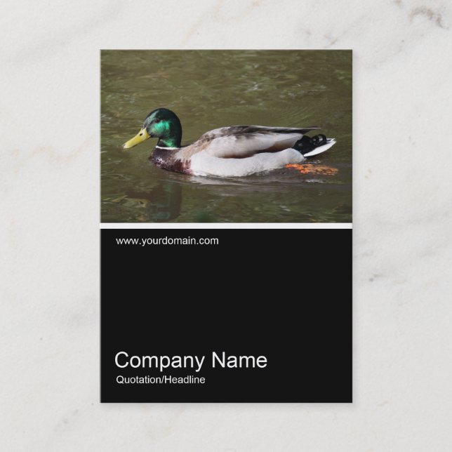 Tarjeta De Visita Mitad y media foto 0318 - Pato Mallard (Anverso)