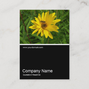 Tarjeta De Visita Mitad y mitad de foto 0259 - Vuelo sobre una camis